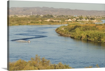 Colorado River dividing California and Arizona, near Parker, Arizona
