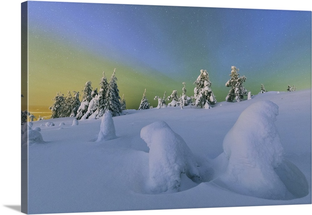 Colorful Northern Lights of the Aurora Borealis and starry sky on the snowy woods, Ruka, Kuusamo, Ostrobothnia region, Lap...