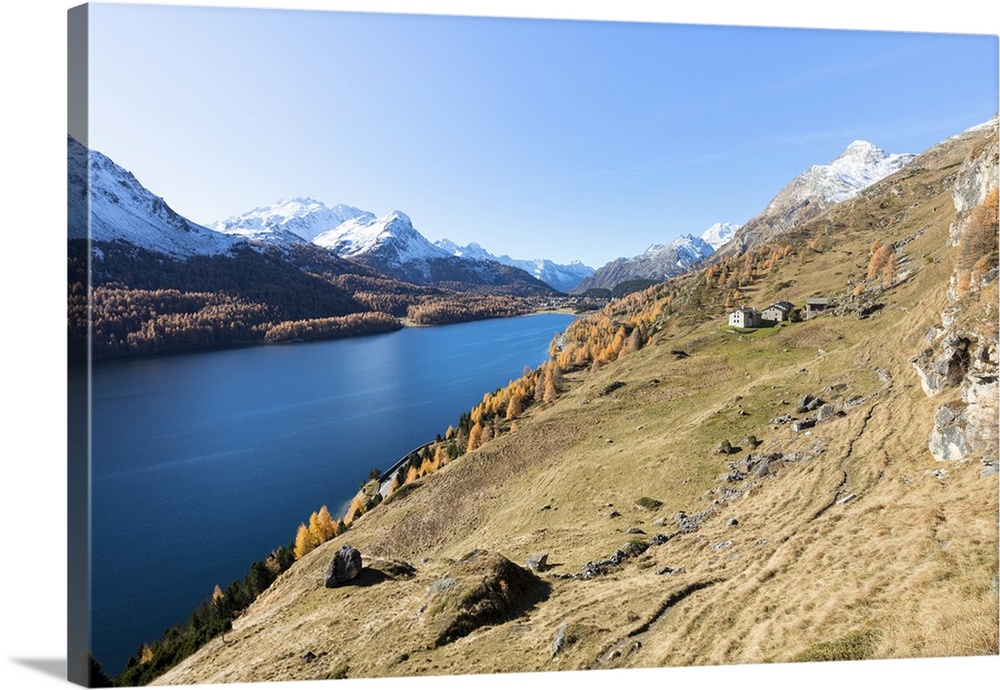 Colorful woods around Lake Sils and the mountain huts of Spluga, Sils, Maloja, Canton of Graubunden, Swiss Alps, Switzerla...