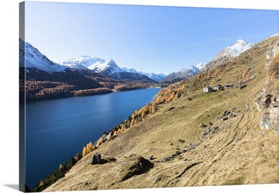 Colorful woods around Lake Sils and the mountain huts of Spluga, Switzerland