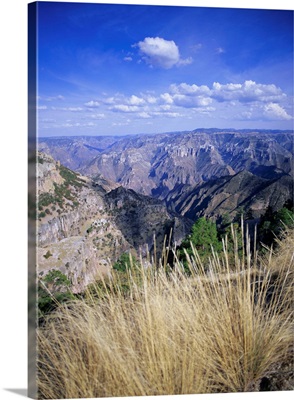 Copper Canyon, Sierra Tarahumara, Sierra Madre, Chihuahua, Mexico
