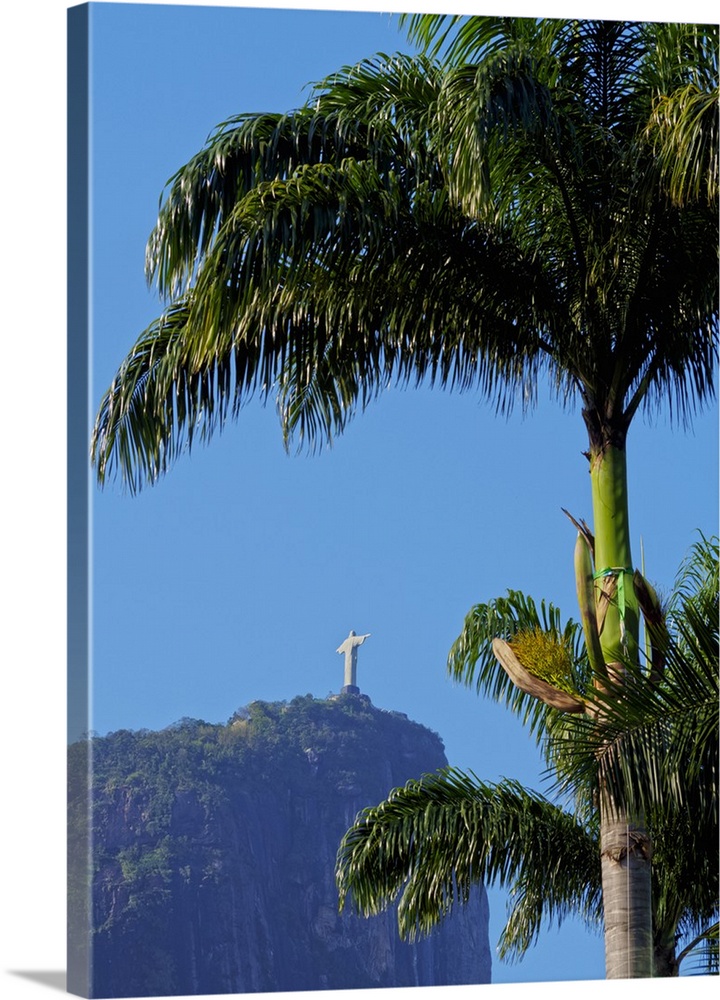 Corcovado and Christ statue viewed through the palm trees of the Botanical Garden, Zona Sul, Rio de Janeiro, Brazil, South...