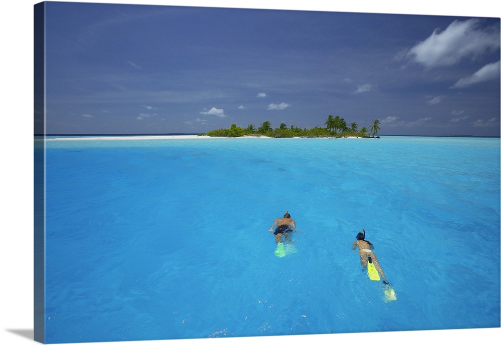 Couple snorkelling in the Maldives, Indian Ocean, Asia