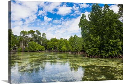 Crystal clear water in the Utwe lagoon, UNESCO Biosphere Reserve, Kosrae