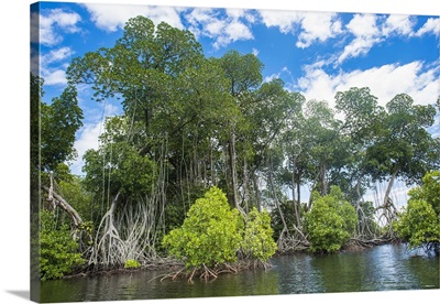 Crystal clear water in the Utwe lagoon, UNESCO Biosphere Reserve, Kosrae