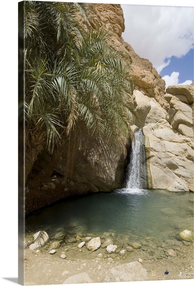 Desert oasis, Chebika, Tunisia, North Africa, Africa