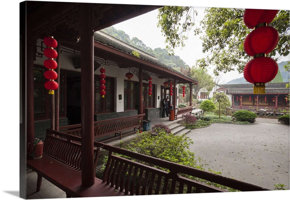 Dragon Well Green Tea Plantation near Hangzhou, Zhejiang province, China