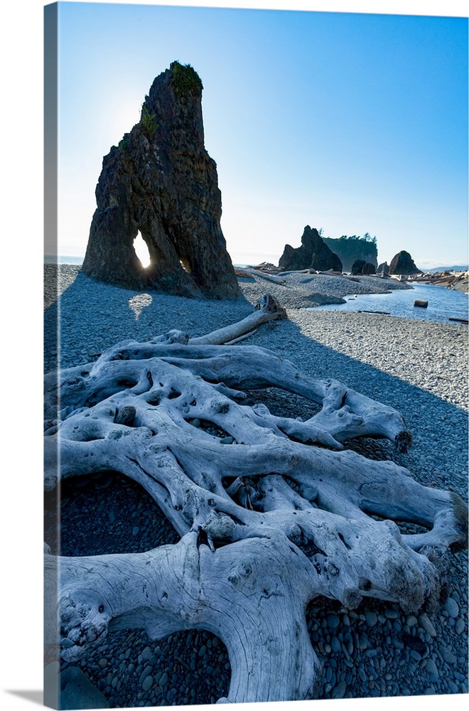 Driftwood and sea stacks on Ruby Beach in the Olympic National Park Northwest coast, Washington State