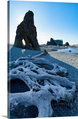Driftwood and sea stacks on Ruby Beach in Olympic National Park, Washington
