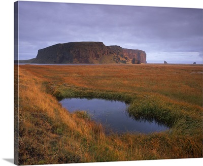 Dyrholaey inselberg and cliffs, southernmost point of Iceland, Iceland