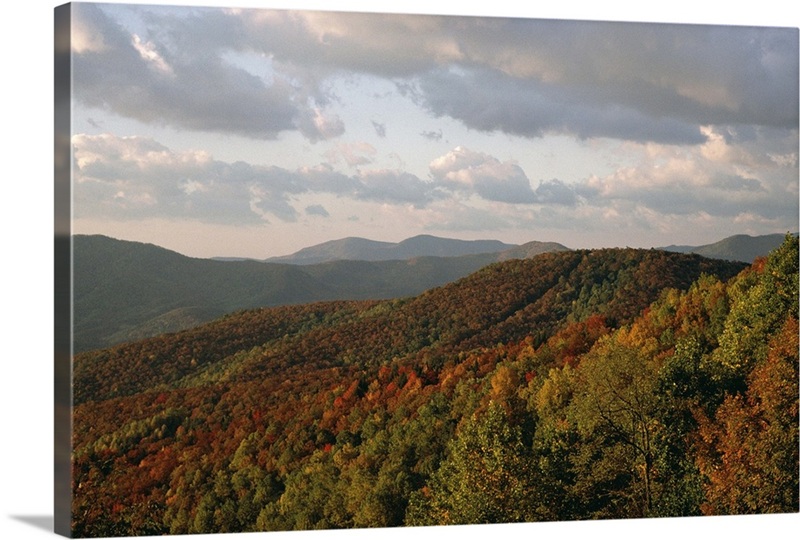 Earling morning landscape, Blue Ridge Parkway, North Carolina, USA ...