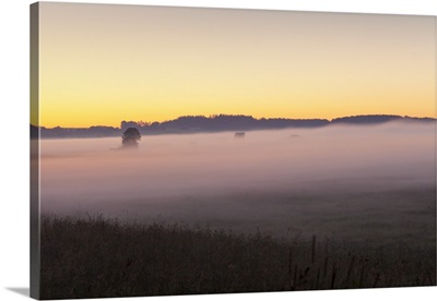 Early morning fog, landscape near Bad Buchau, Baden-Wurttemberg, Germany