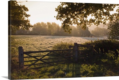 Early morning sun on frosty farmland at Fordcombe, Kent, England, UK