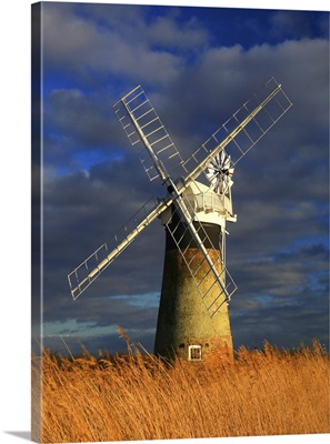 Early Spring Morning, St. Benet's Mill, Norfolk Broads, Norfolk