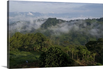El Caney Plantation and view over coffee crops, Colombia