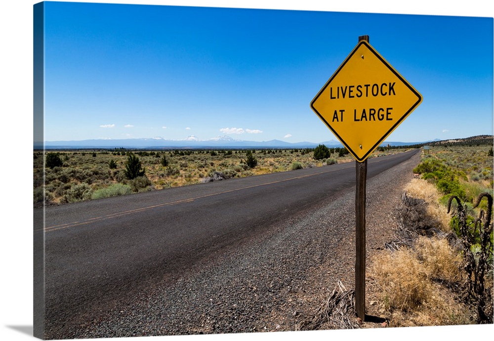 Empty road in central Oregon's High Desert with Livestock at Large sign and the Three Sisters peaks in the distance, Oregon