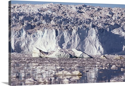 Eqip Glacier, Disko Bay, Greenland, Polar Regions