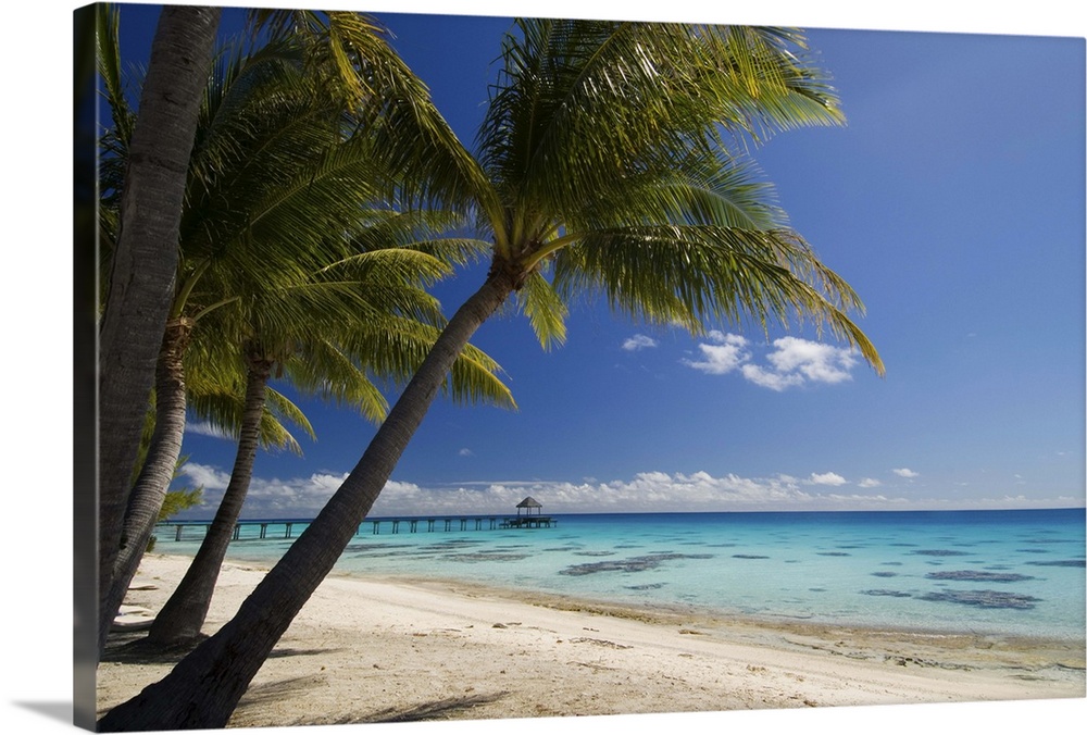 Fakarawa, Tuamotu Archipelago, French Polynesia, Pacific Islands, Pacific