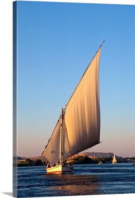 Felucca on the Nile at Aswan, Egypt, North Africa, Africa