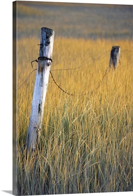 Fence posts in salt grass, Hope, Alaska
