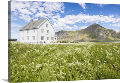 Field of blooming flowers frame the a wooden house surrounded by peaks and blue sea