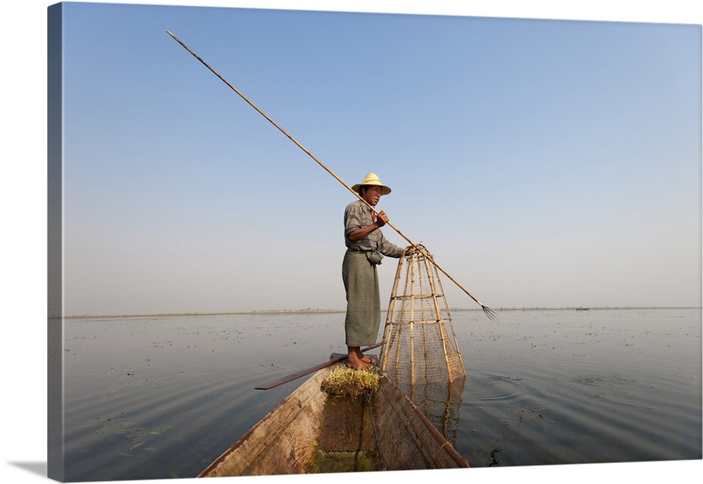 A basket fisherman after having trapped the fish in the basket will use the long spike to surround the fish with the net, ...
