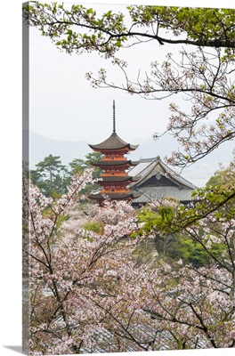 Five-Tiered Pagoda Surrounded By Cherry Blossoms, Miyajima Island, Off Hiroshima, Japan