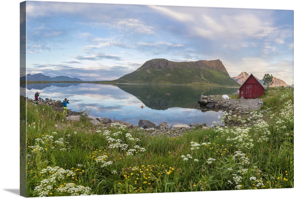 Flowers and grass frame the typical rorbu and peaks reflected in sea at night, Vengeren, Vagpollen, Lofoten Islands, Norwa...