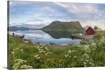 Flowers and grass frame the typical rorbu and peaks reflected in sea at night, Norway