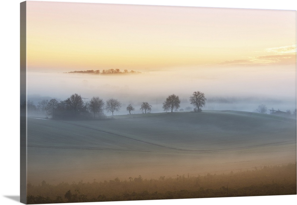 Layers of thick fog wafting across the rolling hills of Kraichgau region shortly after sunrise, Baden-Wurttemberg, Germany...