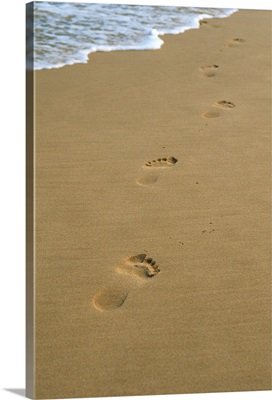 Footprints in the sand on a beach and water's edge