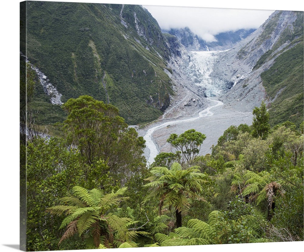 View to the Fox Glacier from the Chalet Lookout Track, Fox Glacier, Westland Tai Poutini National Park, UNESCO World Herit...