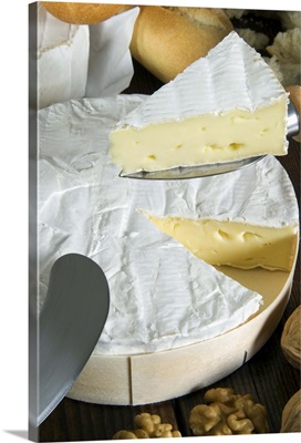 French Brie cheese, France, Europe