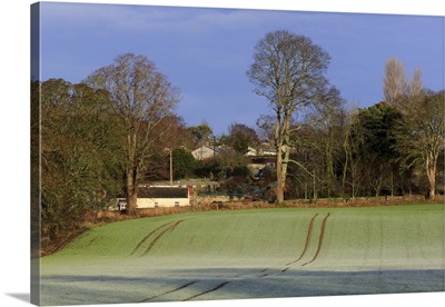 Frost covered farmland, Marlfield Village, County Tipperary, Republic of Ireland