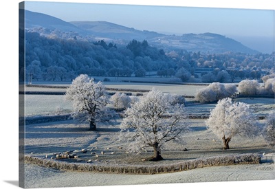 Frosty landscape, Powys, Wales