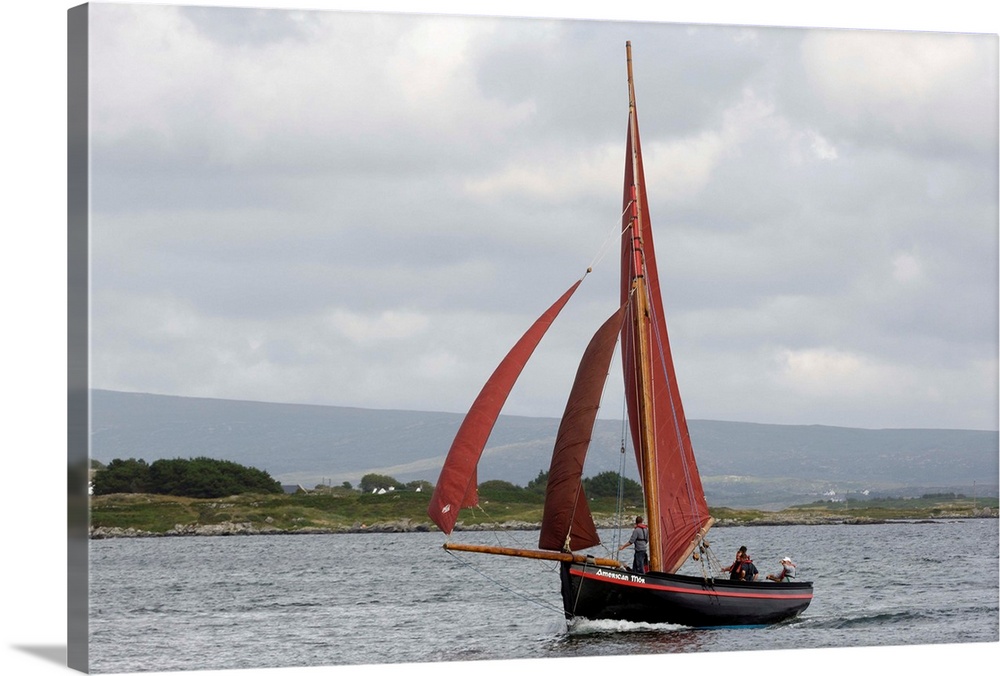 Galway hookers at Roundstone Regatta, Connemara, Connacht, Republic of Ireland