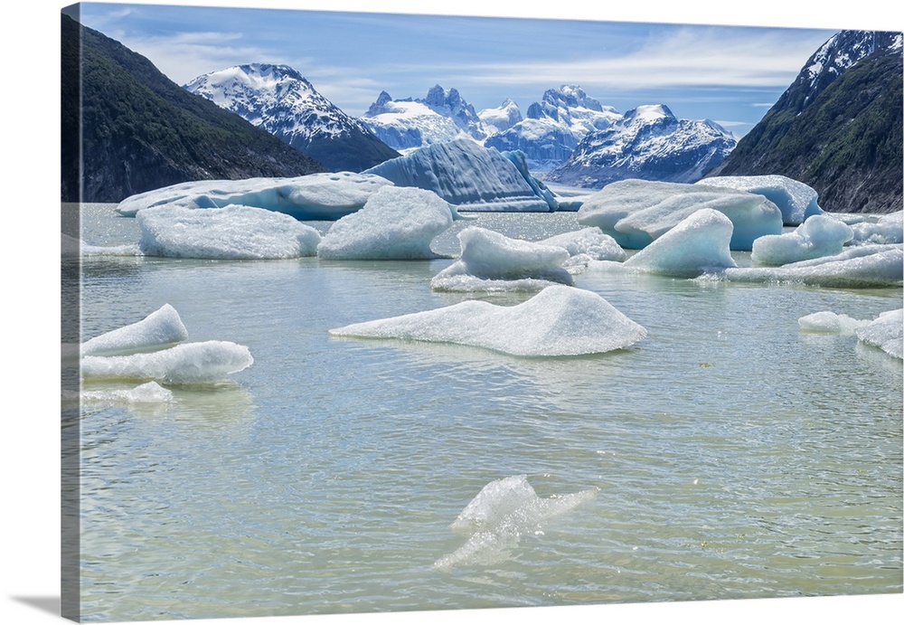 Glacial lake with small icebergs floating, Laguna San Rafael National Park, Aysen Region, Patagonia, Chile, South America