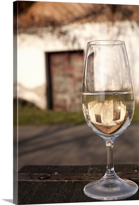 Glass of white wine (Riesling), Vlkos, Brnensko, Czech Republic