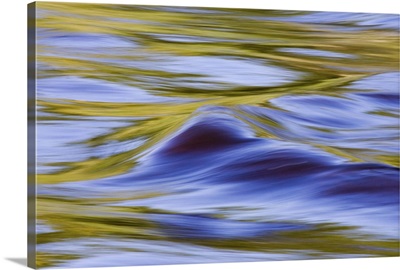 Golden ripples in the Kettle River, Banning State Park, Minnesota