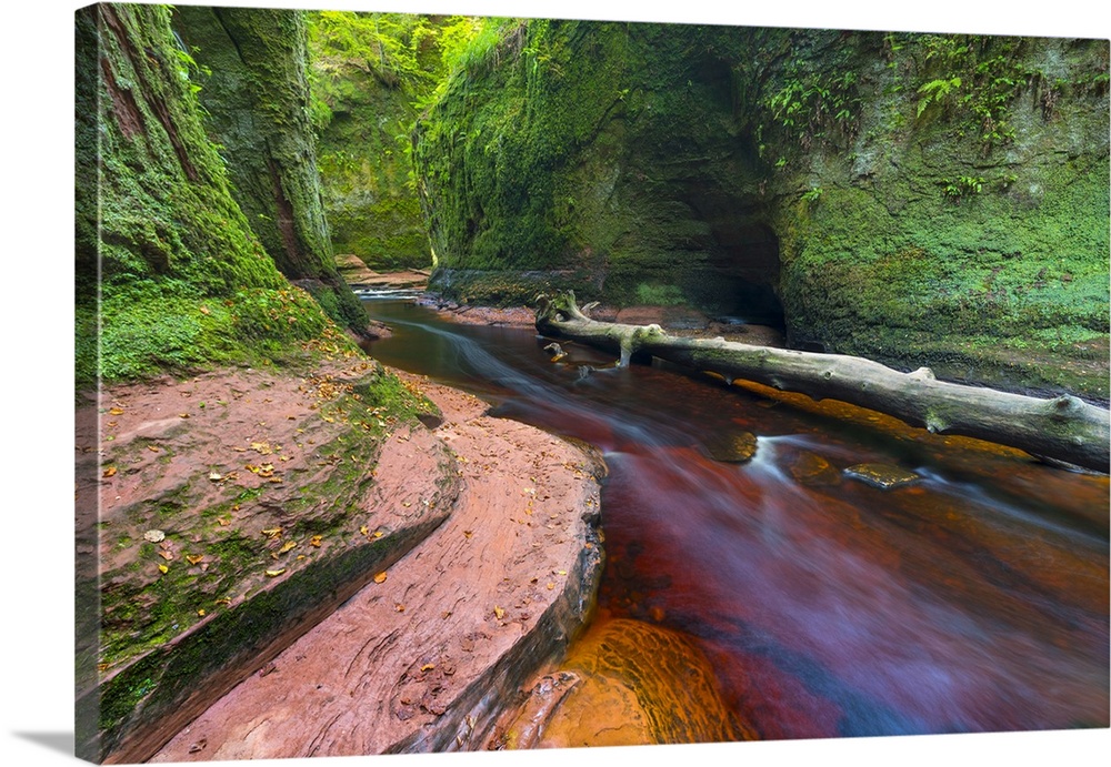 Gorge at The Devil's Pulpit, Finnich Glen, Stirlingshire, Scotland, United Kingdom, Europe