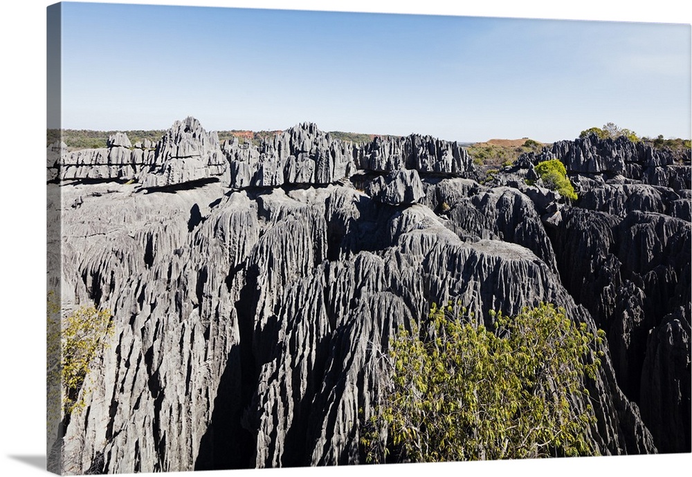 Grand Tsingy, Tsingy du Bemaraha National Park, UNESCO World Heritage Site, western area, Madagascar, Africa