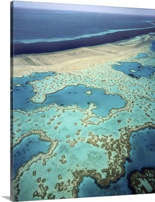 Great Barrier Reef, Queensland, Australia, Pacific