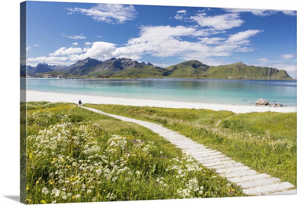 Green meadows and flowers surrounded by turquoise sea and fine sand, Ramberg, Lofoten Islands, Norway, Scandinavia, Europe