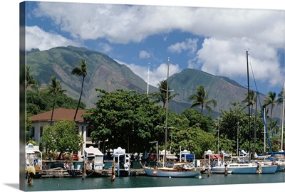 Harbour of Lahaina, west coast, Maui, Hawaii, Hawaiian Islands, USA