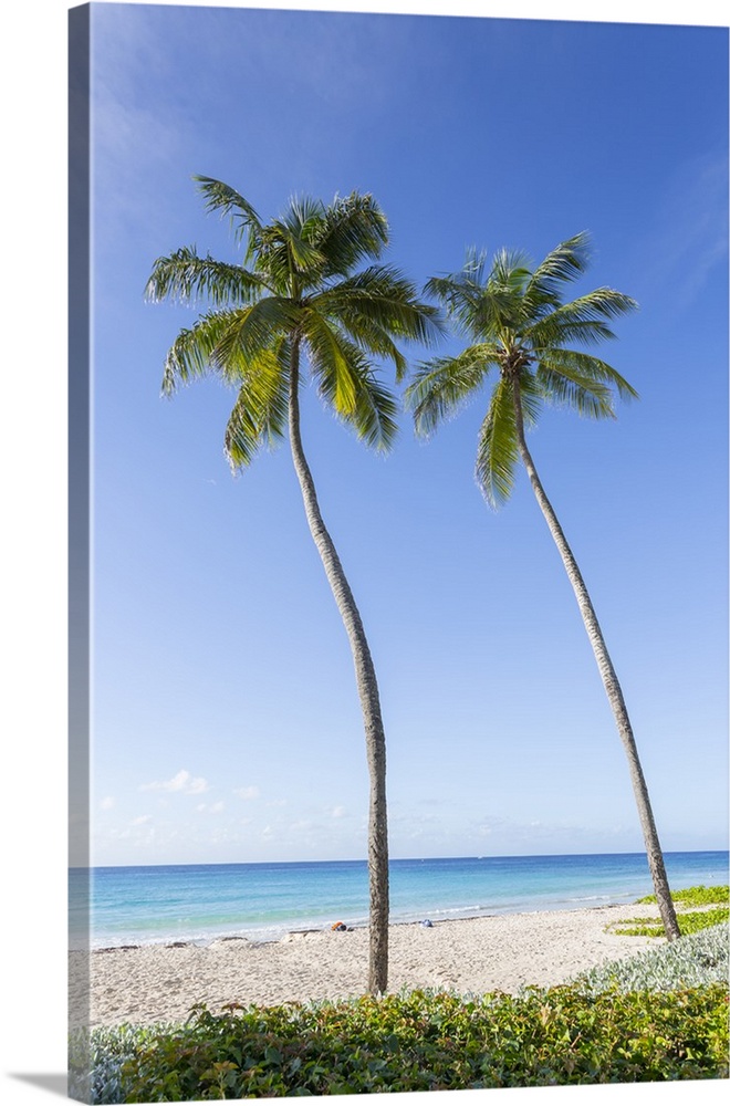 Hastings Beach, Bridgetown, Christ Church,, Barbados, West Indies, Caribbean, Central America