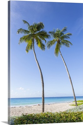 Hastings Beach, Bridgetown, Christ Church,, Barbados, West Indies, Caribbean