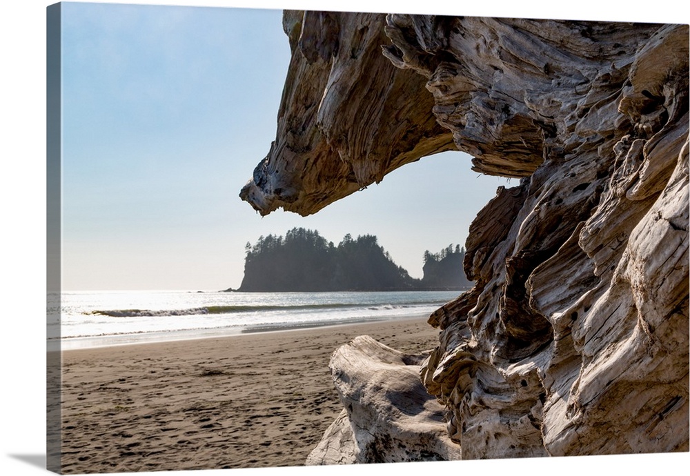 Headland at La Push Beach in the the Pacific Northwest, Washington State