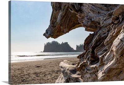 Headland at La Push Beach in the the Pacific Northwest, Washington State