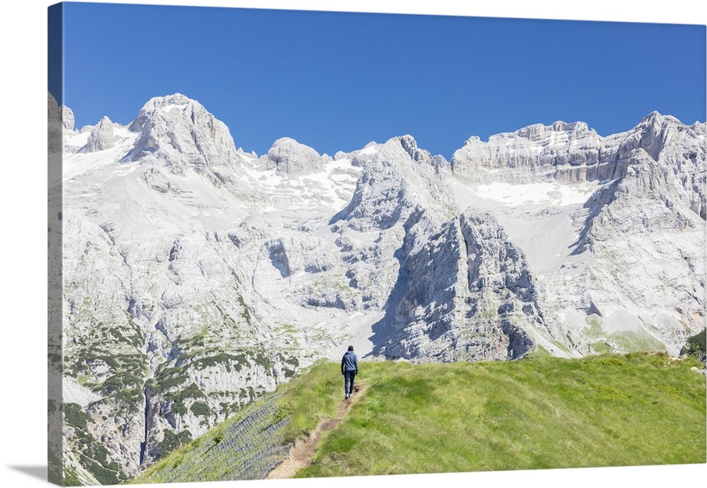 Hiker proceeds on the path to the rocky peaks, Doss Del Sabion, Pinzolo, Brenta Dolomites, Trentino-Alto Adige, Italy