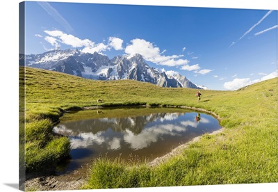 Hiker with dog admires the peaks of Mont De La Saxe, Courmayeur, Aosta Valley, Italy